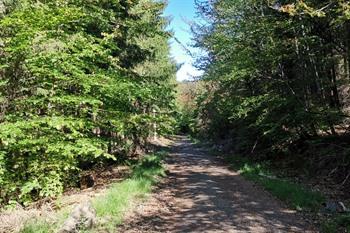 Ternell-Wanderung in den Ostkantonen