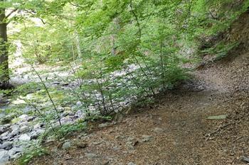 Ternell-Wanderung in den Ostkantonen