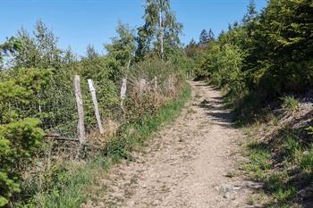 Ternell-Wanderung in den Ostkantonen