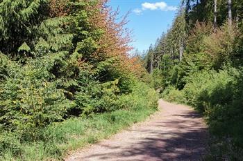 Ternell-Wanderung in den Ostkantonen