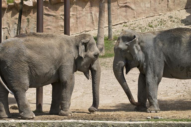 Terra Natura Park