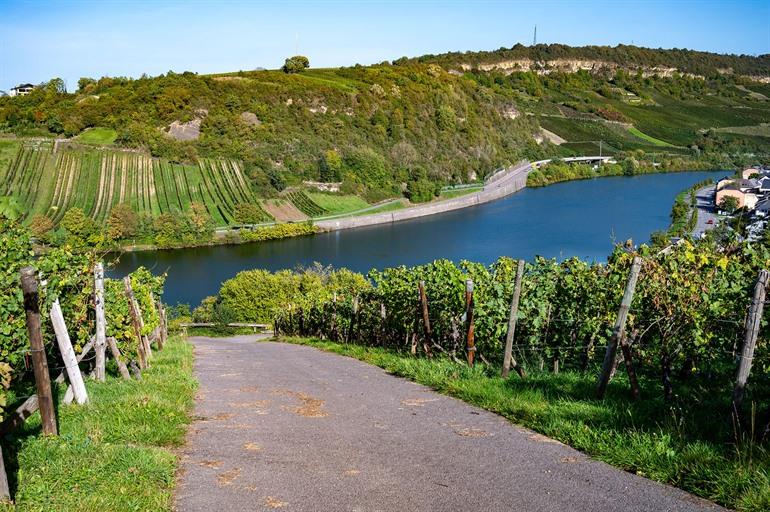Terrassenförmige, hügelige Weinberge in Luxemburg