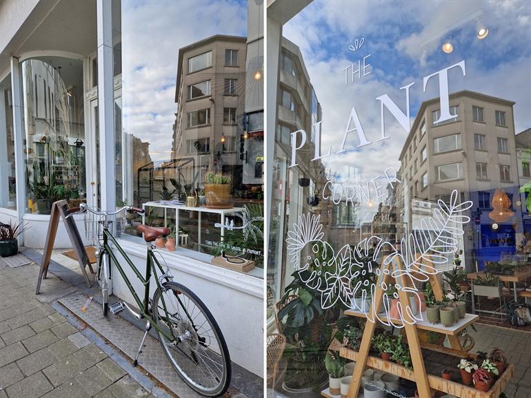 Der Pflanzen-Eck in Antwerpen