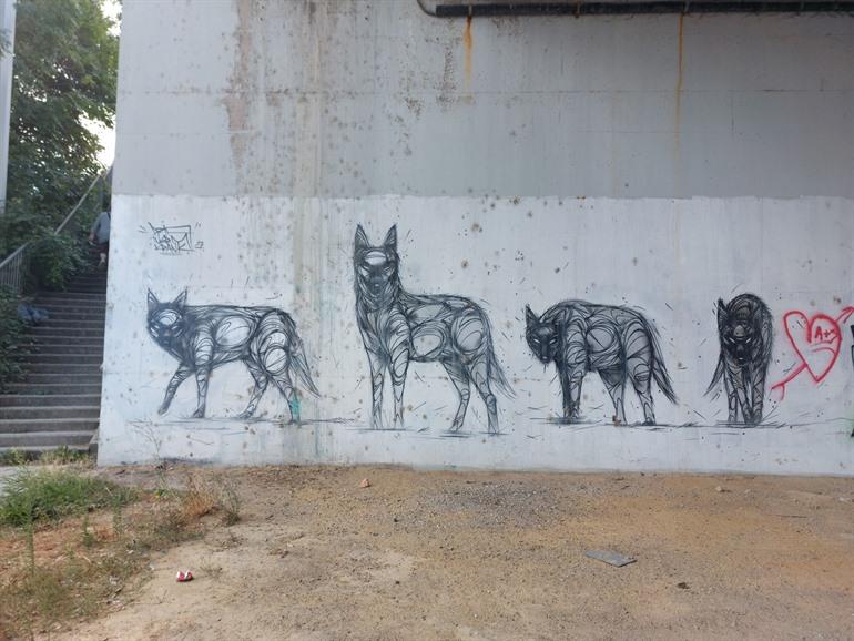 „The Wolfpack“ von DZIA, Vilvoorde