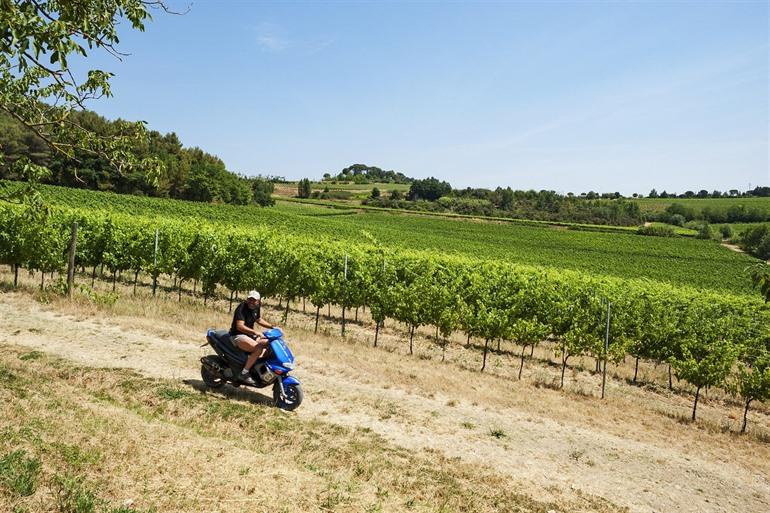 Torgiano in Umbrien