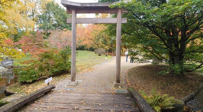 Torii, ein traditionelles japanisches Tor