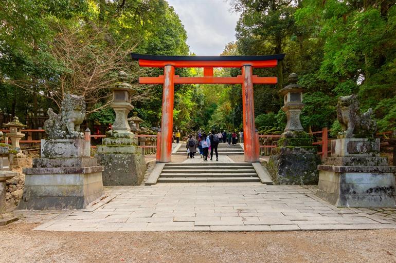 Torii-Tor zum Kasuga-Taisha