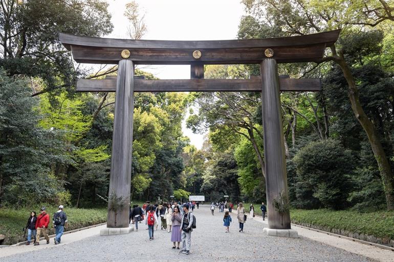 Torii-Tor bei dem Meiji-Schrein