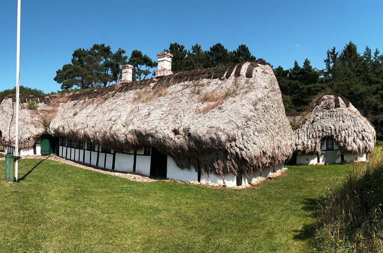 Traditionelle Seegrasdächer auf der dänischen Insel Læsø