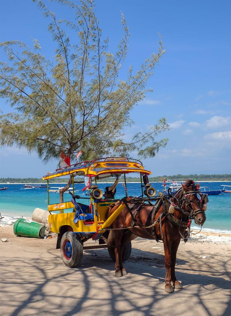 Die Gili-Inseln mit Pferd und Kutsche erkunden