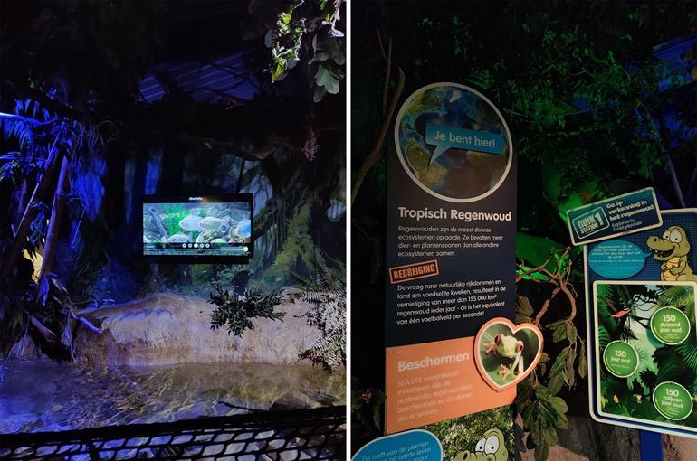 Tropischer Regenwald im SEA LIFE in Blankenberge