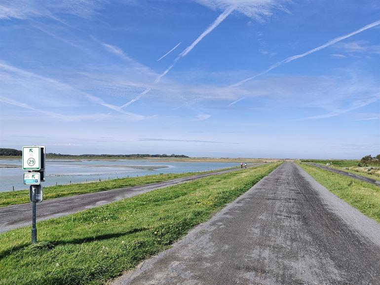 Aussichtspunkt über den Zwin-Naturpark entlang der Vespa-Route