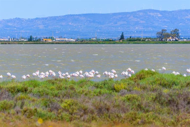Aussicht im Ebro-Delta Katalonien