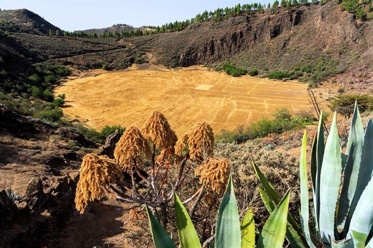 Aussicht auf die Caldera de Los Marteles, Gran Canaria