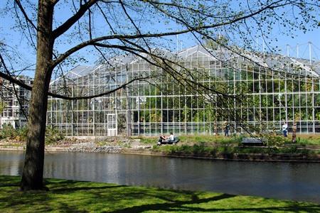 Besuchen Sie den Hortus Botanicus Amsterdam: eine grüne Oase im Herzen der Stadt + Infos & Tipps