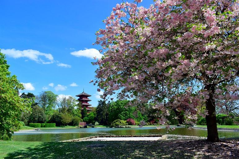 Aussicht auf den Japanischen Turm in den Königlichen Gärten