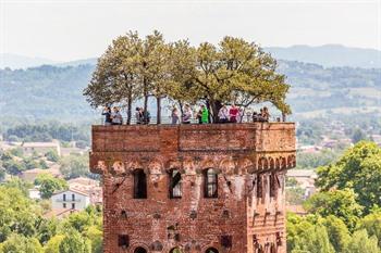 Aussicht auf den Torre Guinigi in Lucca