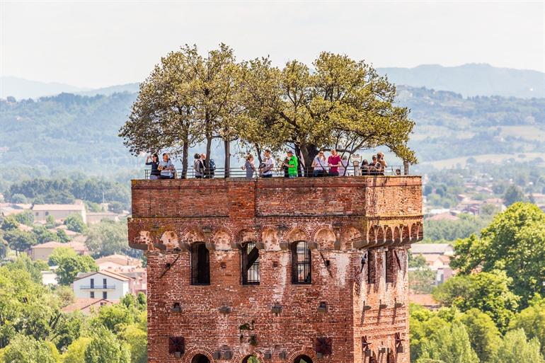 Aussicht auf den Torre Guinigi in Lucca