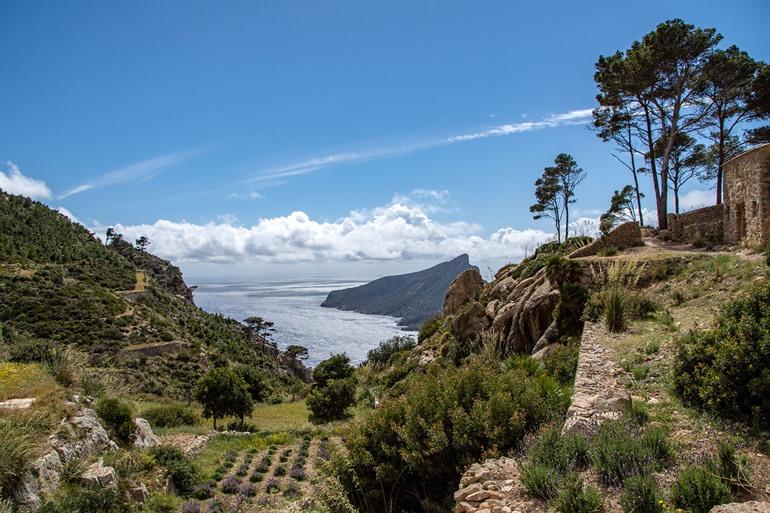 Blick auf die Insel Sa Dragonera von den Ruinen von La Trapa