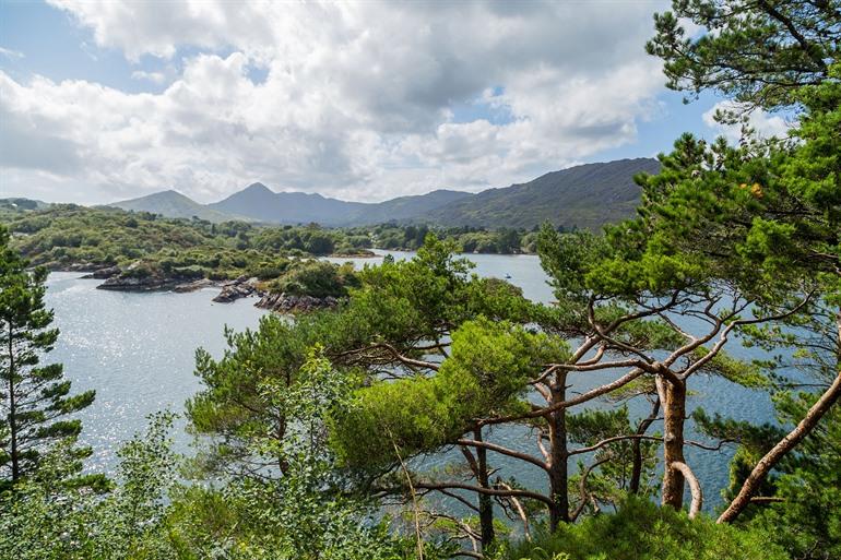 Ausblick auf das Naturschutzgebiet Glengarriff, Irland