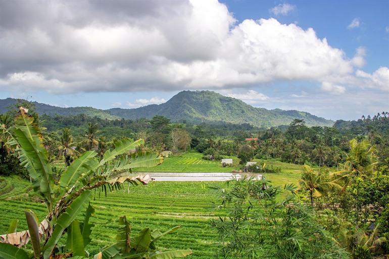 Ausblick auf das Sidemen-Tal mit Reisterrassen und dem Mount Agung im Hintergrund