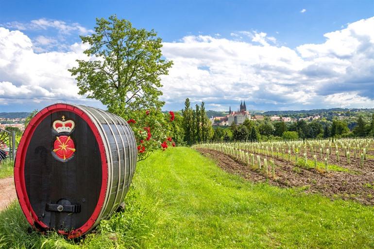 Aussicht auf die Albrechtsburg in Meissen von den Weinbergen aus