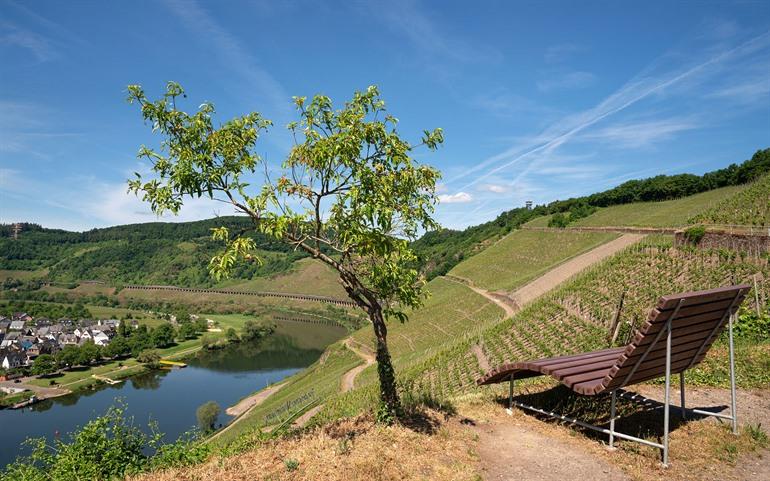 Aussicht auf die Mosel vom Pünderich aus, Mosel