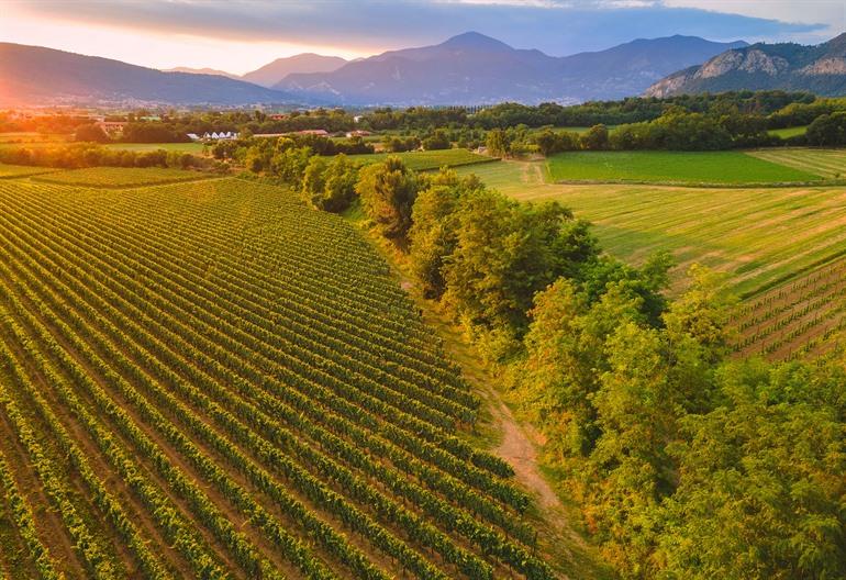 Aussicht auf die Weinberge in Franciacorta bei Sonnenuntergang, Lombardei