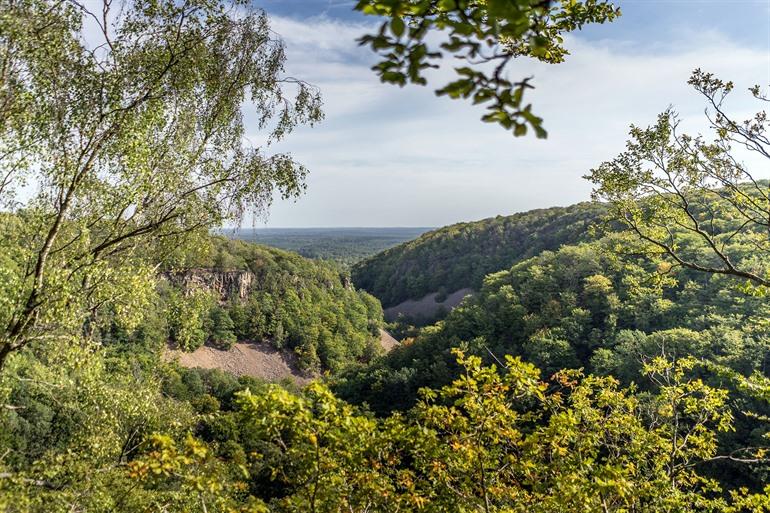 Aussicht auf den Söderåsen-Nationalpark in Schweden