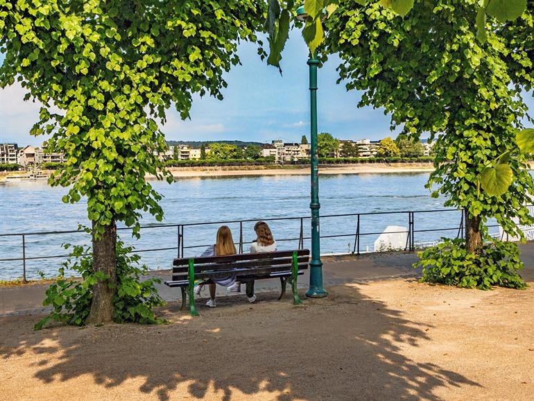 Aussicht vom Alter Zoll über den Rhein, Bonn