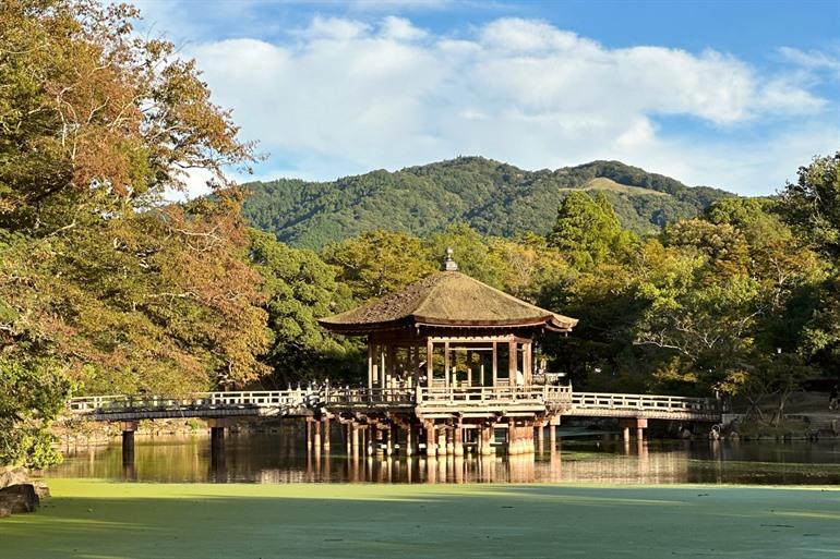 Ukimido-Pavillon im Park