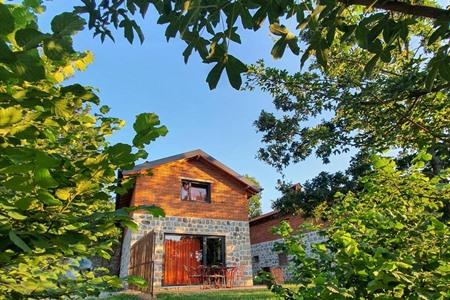 Ferienhaus mitten in der Natur buchen