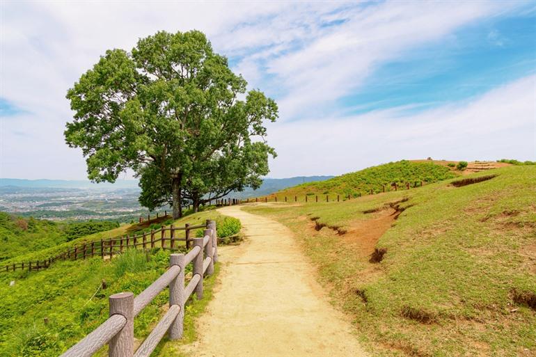 Vom Nara-Park zum Mount Wakakusa