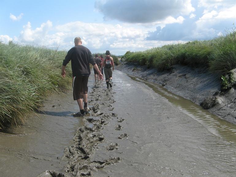 Das versunkene Land von Saeftinghe besichtigen