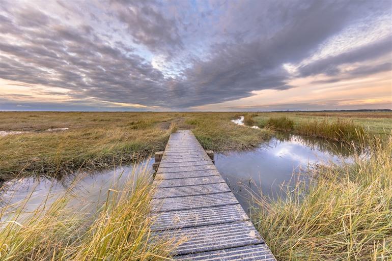 Versunkener Schwarzer Polder