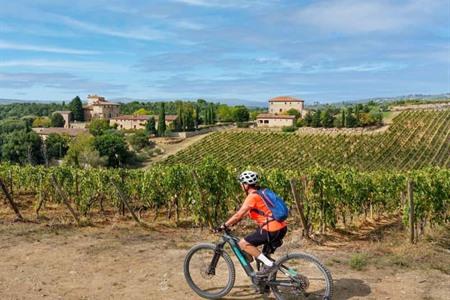 Entdecken Sie die Chianti-Region mit einem E-Bike ab Castellina in Chianti