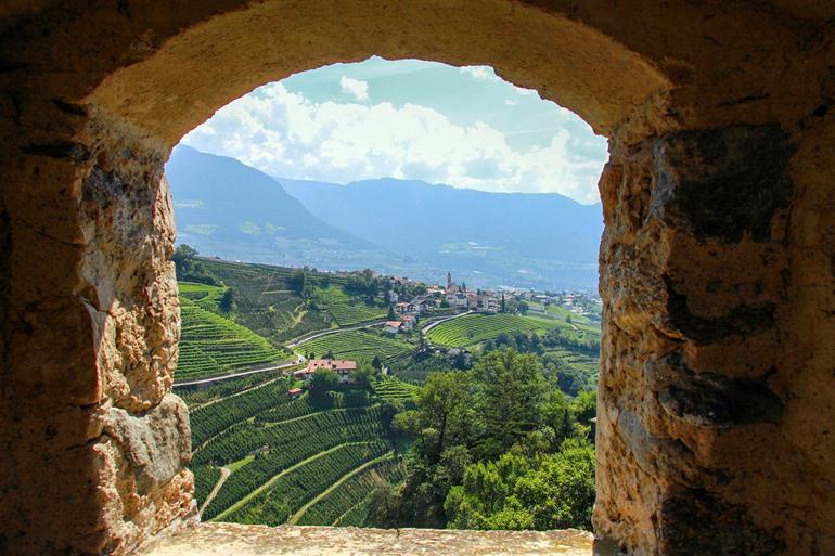 Entdecken Sie die Südtiroler Weinregion