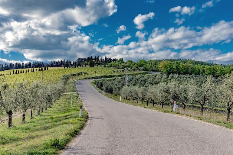 Über die Chiantigiana, die Straße des Weins und Olivenöls des Chianti Classico