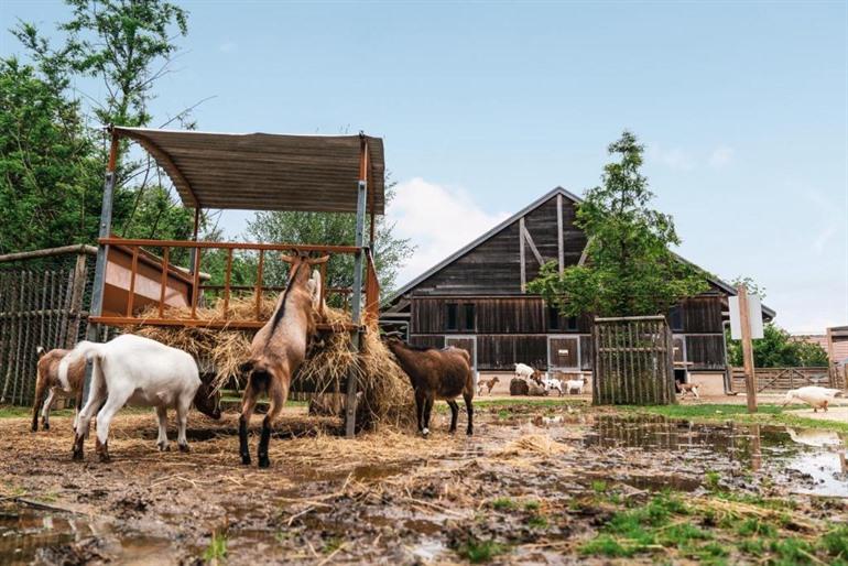 Villages Nature Paris bei Disneyland® Paris buchen