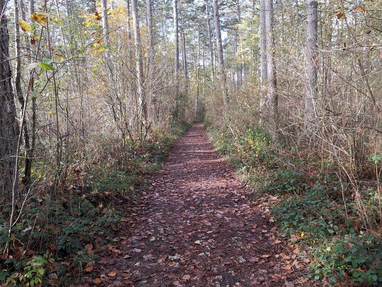 Viroinvallei Wanderroute