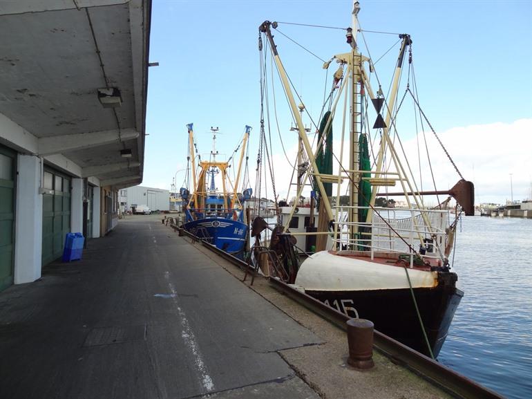 Fischmarkt von Nieuwpoort