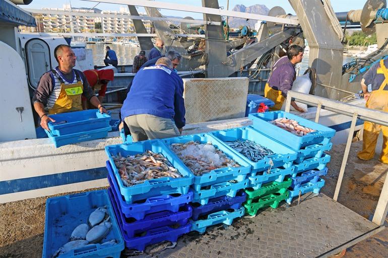 Fischereihafen mit Fischerbooten in Villajoyosa