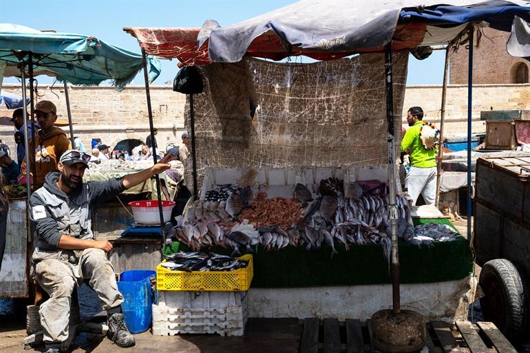 Fischereihafen von Essaouira, Marokko