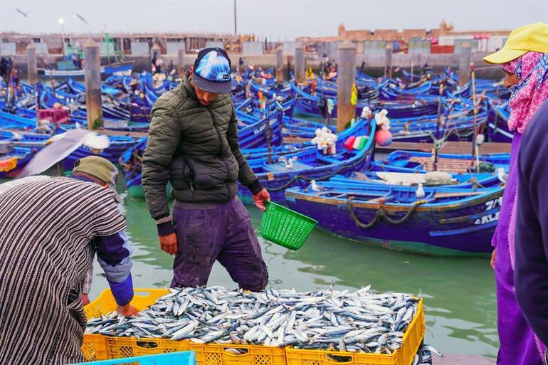 Fischereihafen von Essaouira, Marokko
