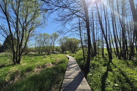 Wandern Sie in sieben Etappen durch die Belgischen Ardennen: Alle Infos zur Fernwanderroute Transardennaise