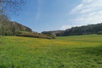 Geführte Quellenwanderung