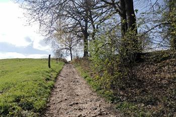 Geführte Quellenwanderung