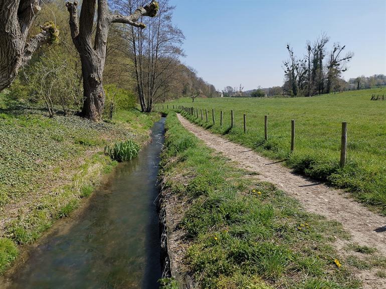 Führen, Naturreservat Altenbroek