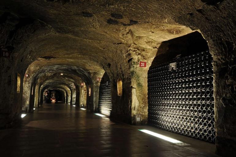 Begleiten Sie eine private Tour durch die Champagne, inklusive Besuch des Champagnerhauses Moët mit Verkostung.