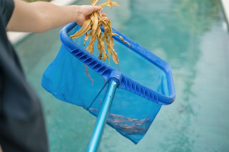 Schmutz im Pool verursachen